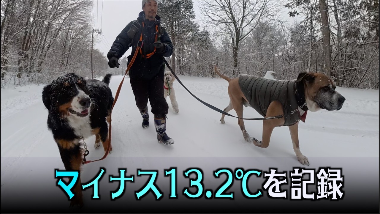 冬将軍がやってきた！