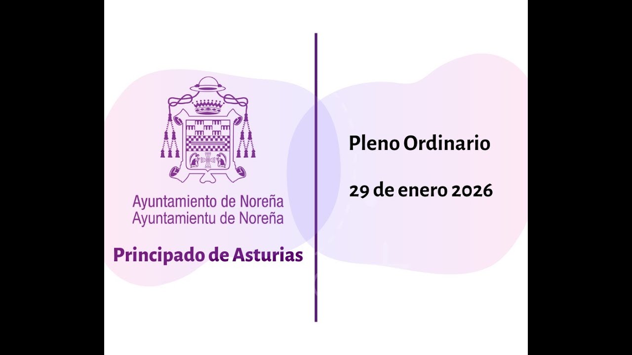 Pleno Ordinario 29 de enero 2026