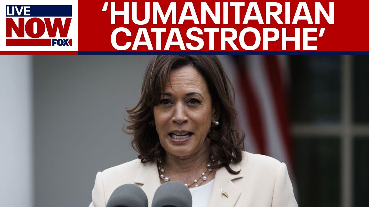 Israel-Hamas war: Harris calls for 'immediate ceasefire' in Gaza | LiveNOW from FOX
