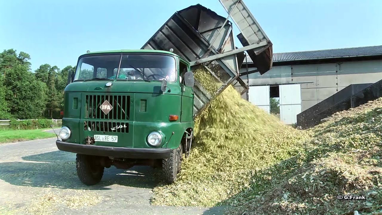 DDR Landmaschinen IFA W 50 LAZ in der Maisernte