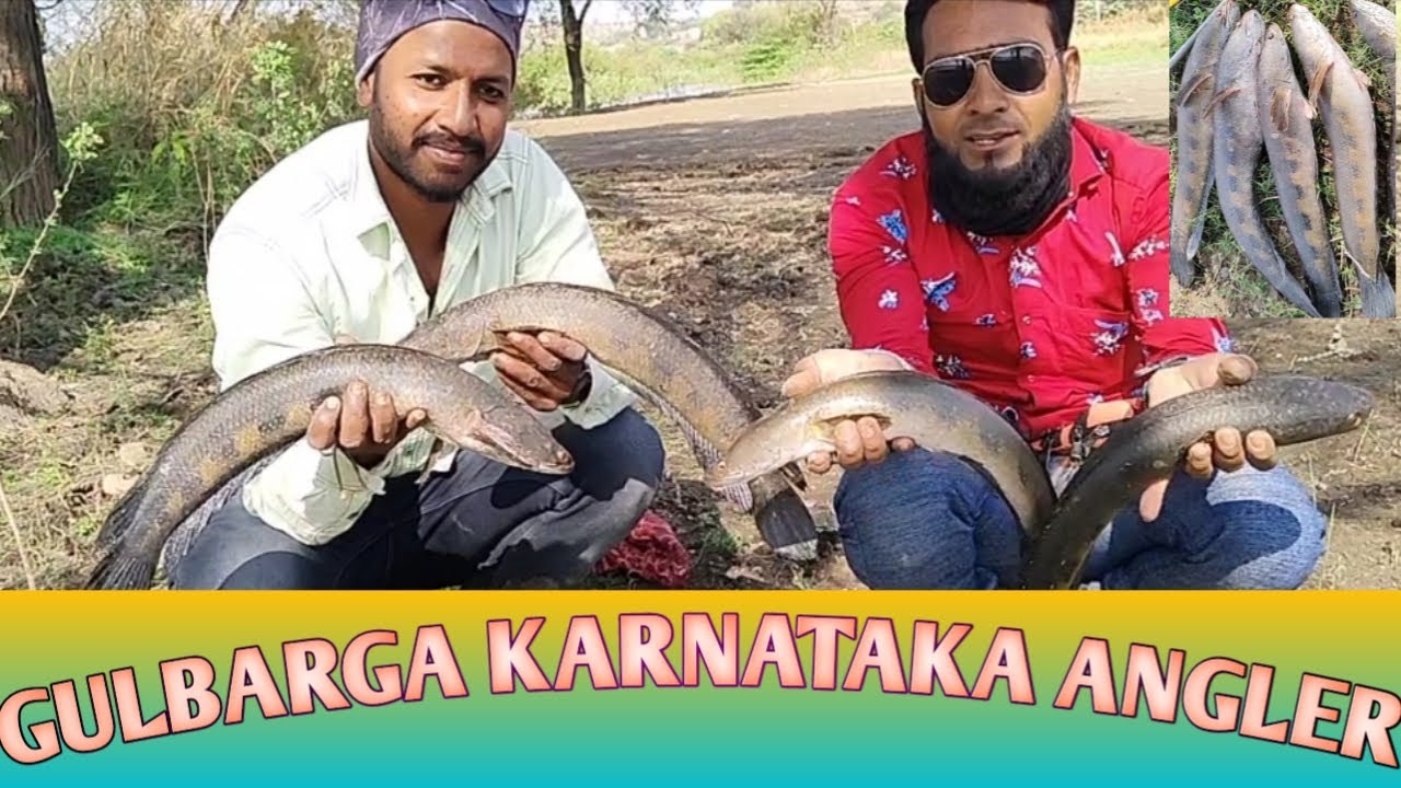 SnakeheadFishing# GULBARGA Karnataka
