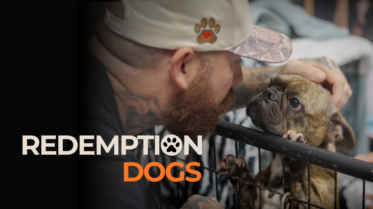 Redemption Dogs Trailer