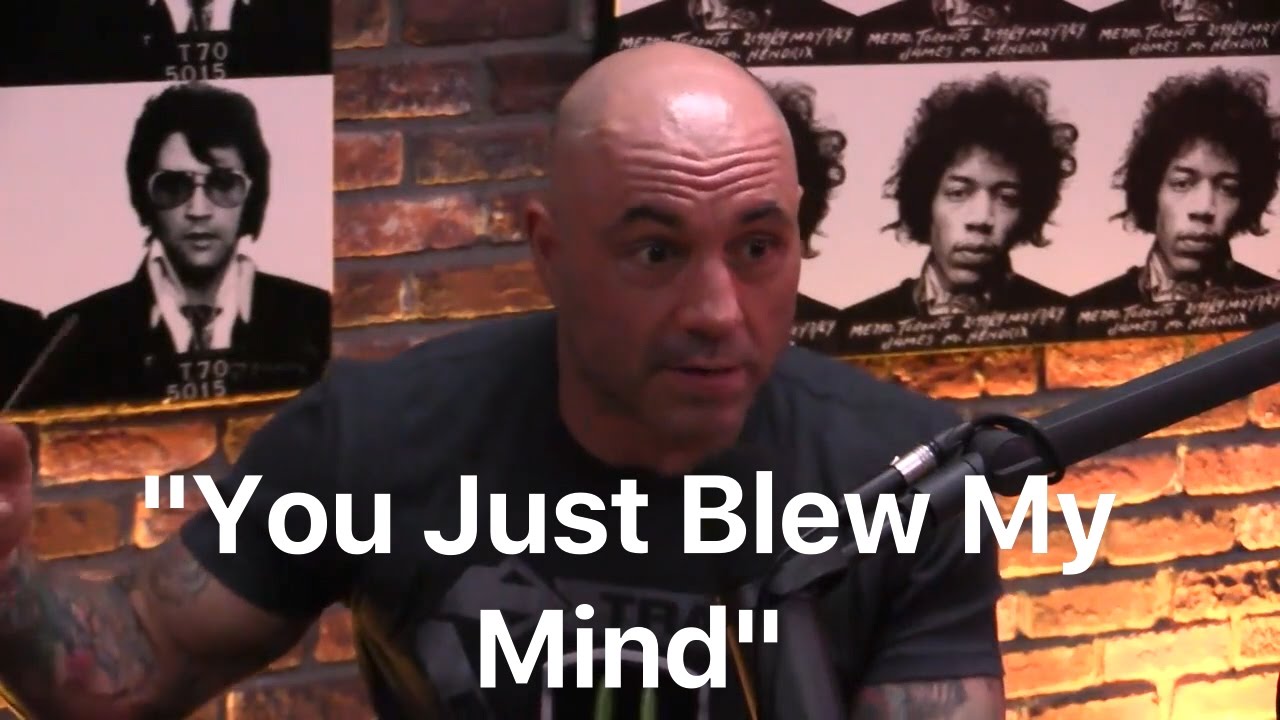 Gavin McInnes Blows Joe Rogan's Mind.  