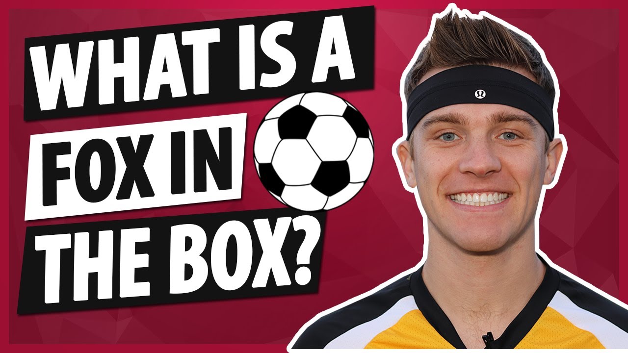 Fox in the Box