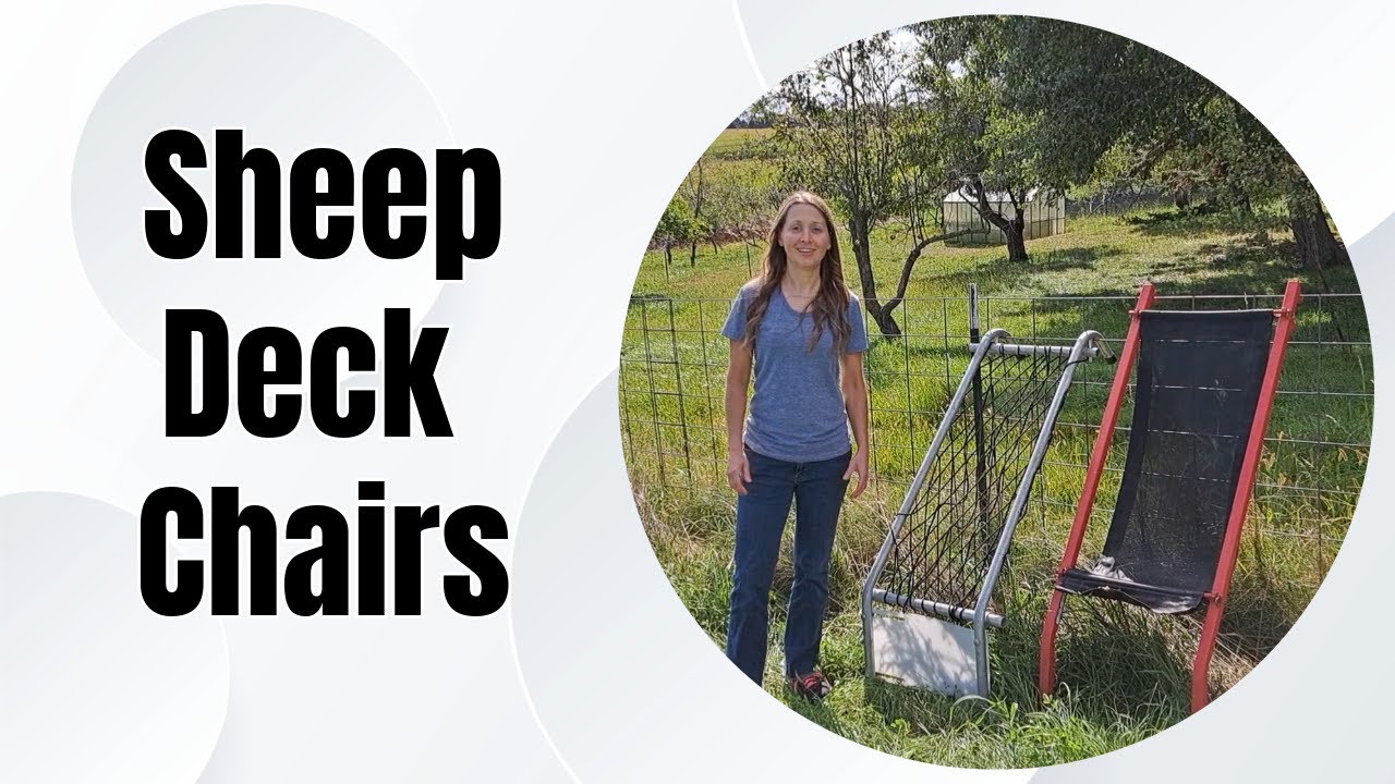 Sydell vs Premier1: Comparison of Sheep Deck Chairs