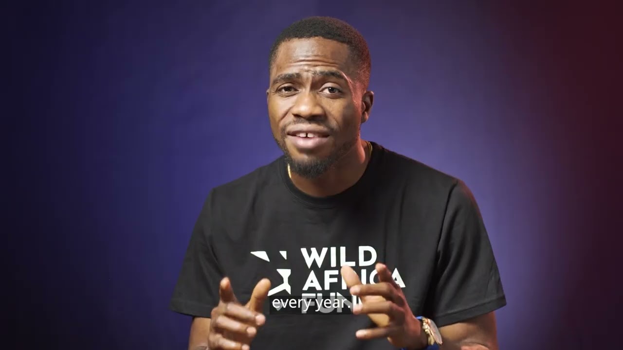 The Plight of Nigeria&rsquo;s Gorillas
