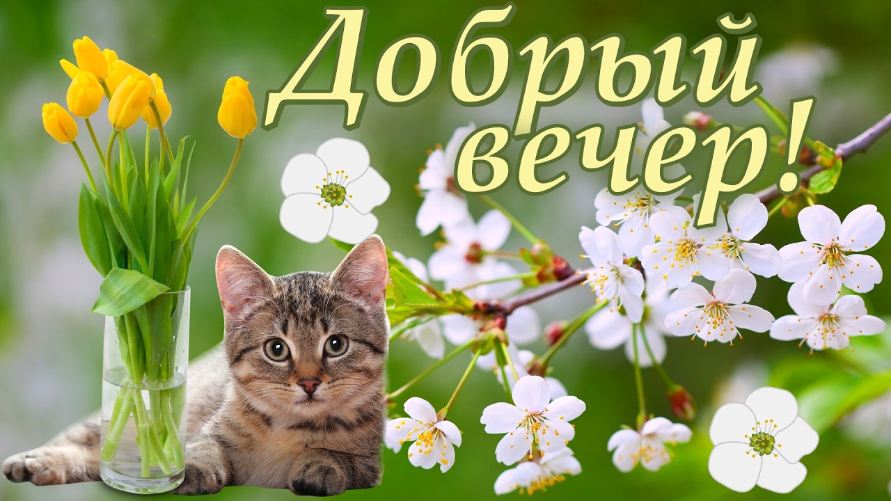Для Вас!🌷 Нежный весенний вечер под музыку.🌸