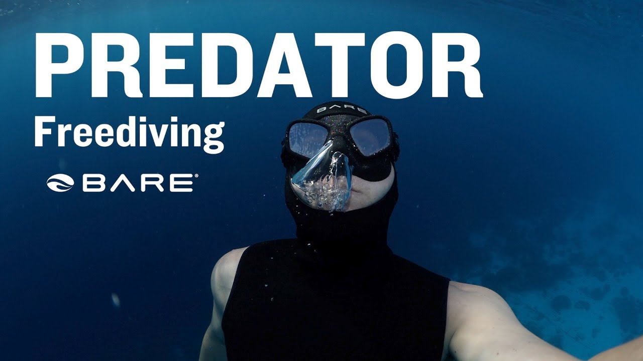 Predator Freediving Fins Mask Snorkel New from BARE Sports