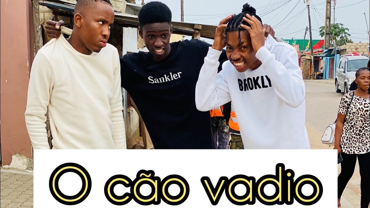 O cão vadio 🔥😂