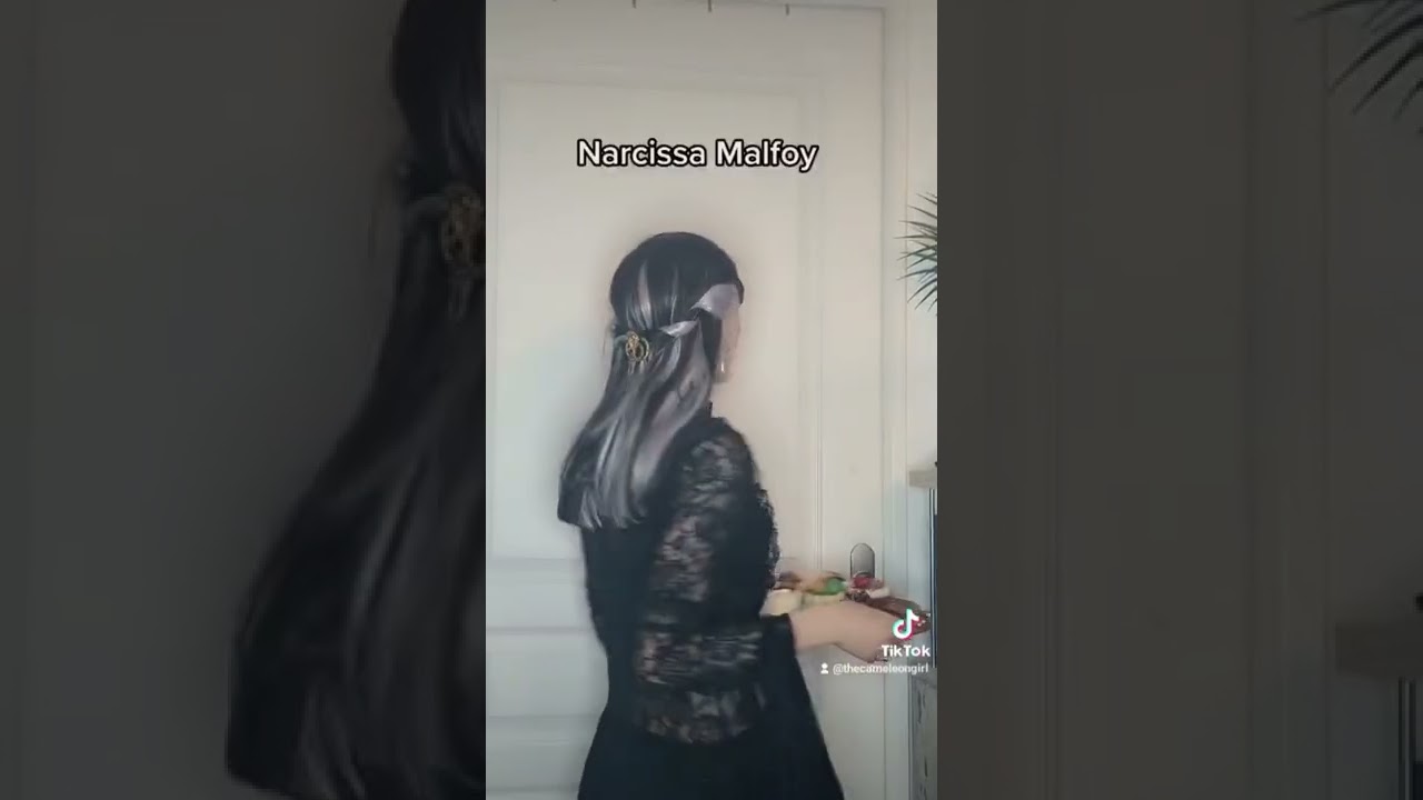 Lucius Malfoy vs Narcissa malfoy - Harry Potter