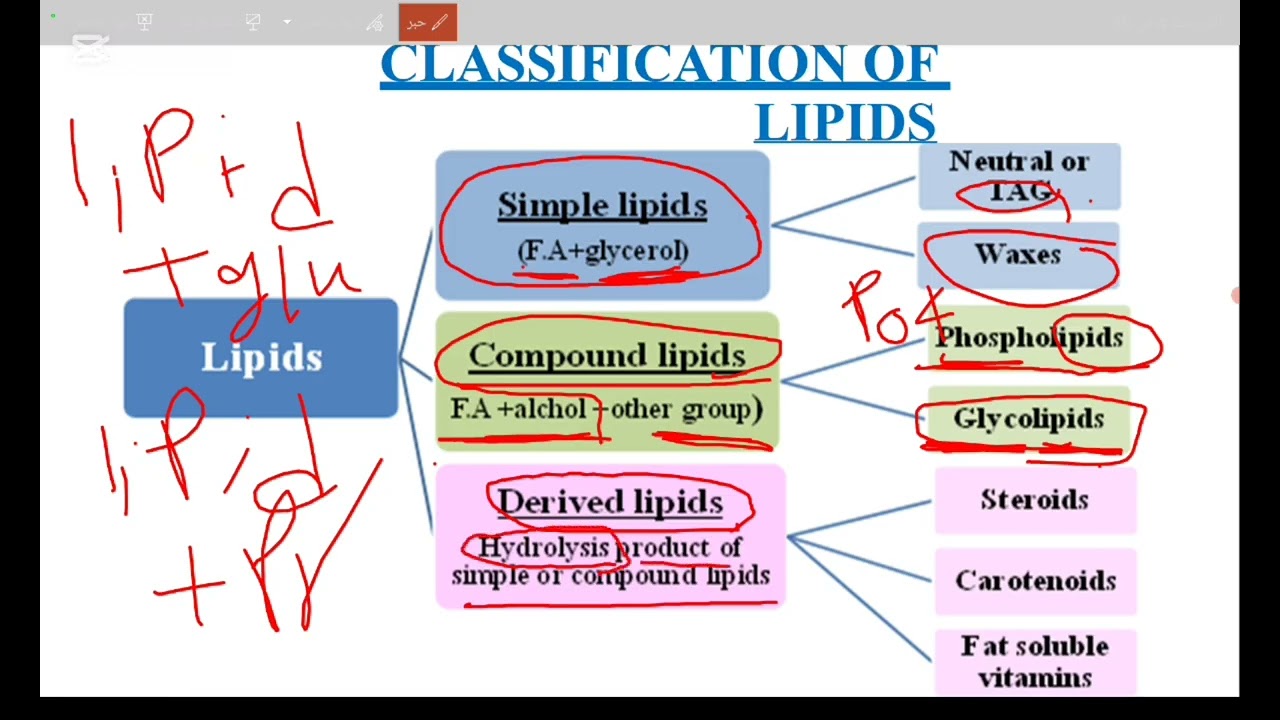 شرح محاضرة lipid chemstry الفرقة الاولى كلية التمربض