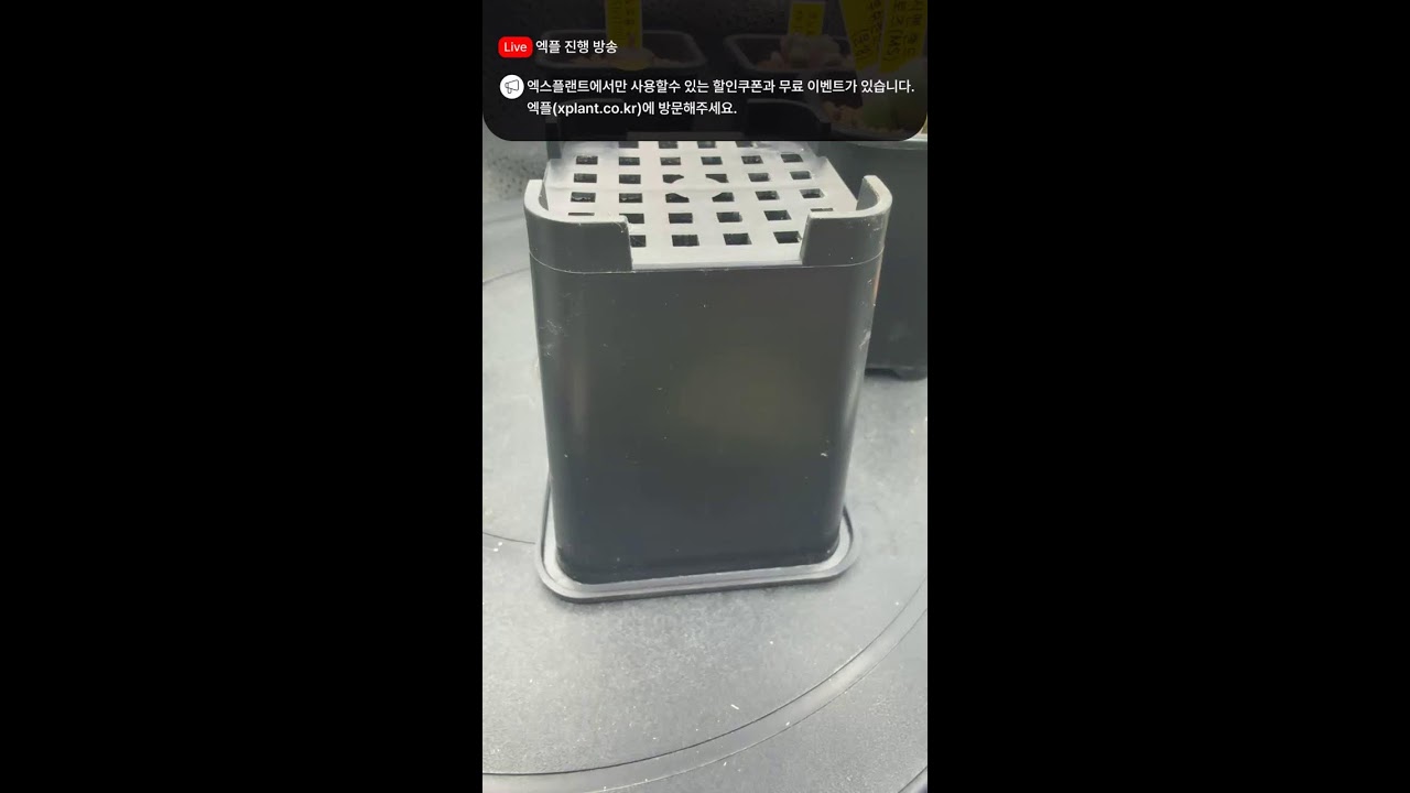 코노월드 라이브 - #다육판매영상 #다육판매방 #다육판매하는곳 #다육이 #다육이를부탁해 #다육이판매영상 #다육이라이브 #다육이화분 #선인장 #코덱스 #코노피튬