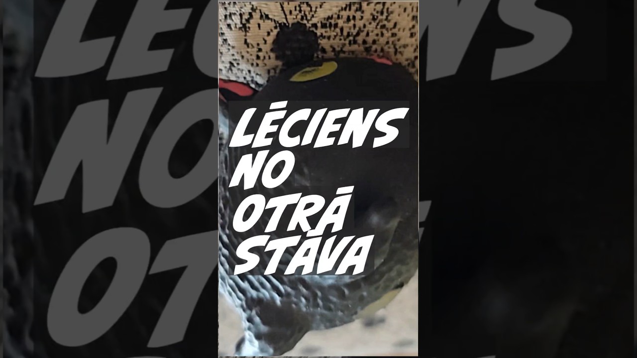 🐱🟢 Lēciens starp pasaulēm, mūsu dzīvi un to iemūžināšanu 