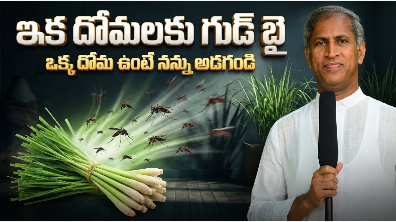 ఇక దోమలకు గుడ్ బై! 🦟❌ - Dr Manthena Satyanarayana Raju