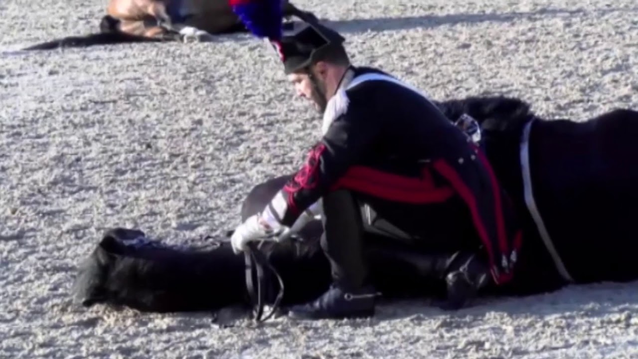 Carosello Carabinieri a Cavallo: 