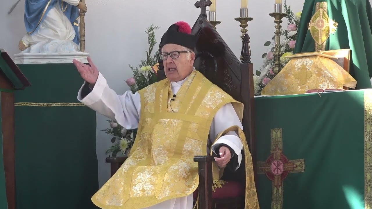 1564-Un papa escogido entre los mejores. Un soldado en cada seminarista. La vocación al sacerdocio