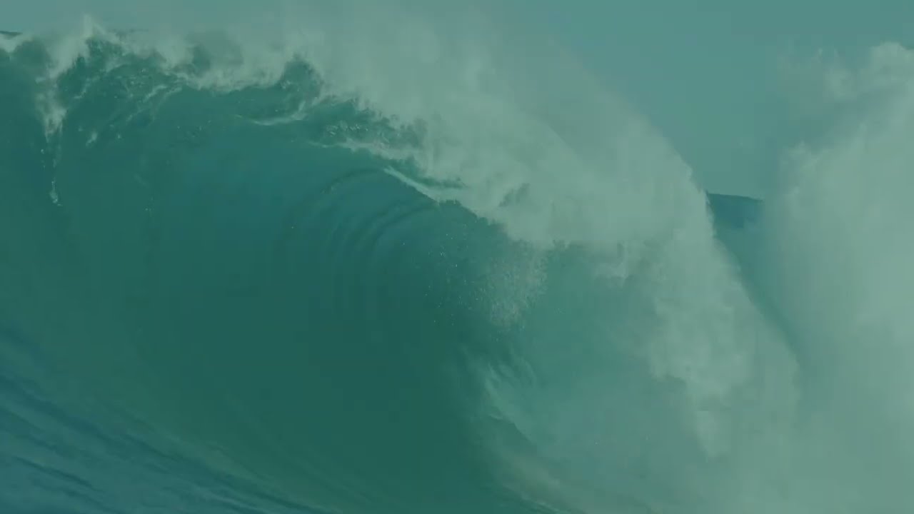 How to use the Vessel and Regeneration Screen in WAVE PRO?