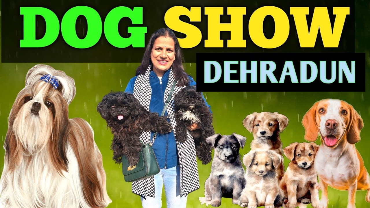DOG SHOW IN DEHRADUN | DOG SHOW 2023