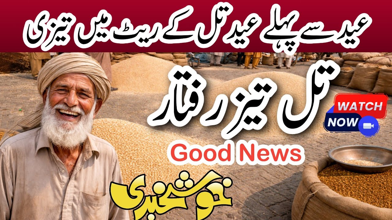 Congratulation ! Till tilli Good rate in pakistan | Till rate today | international commodity