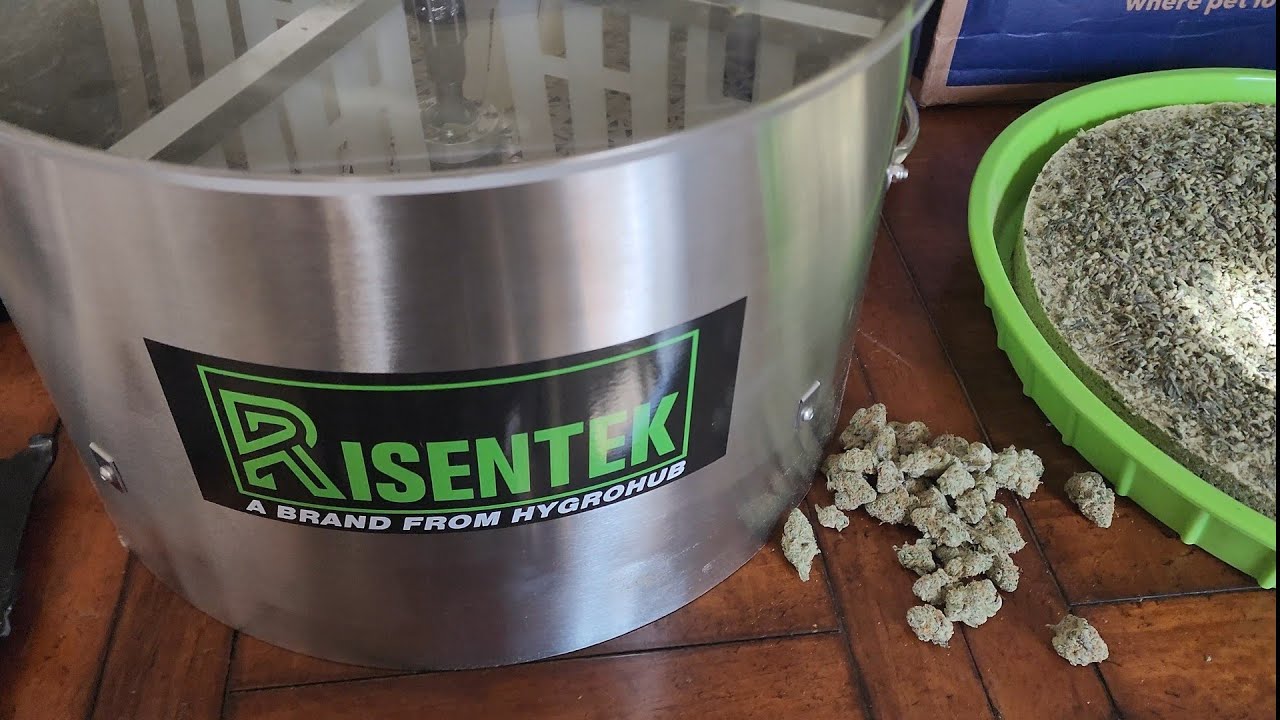 Best bud trimmer for the price. Risentek Bud trimmer. Inhouse genetics platinum purple candy.