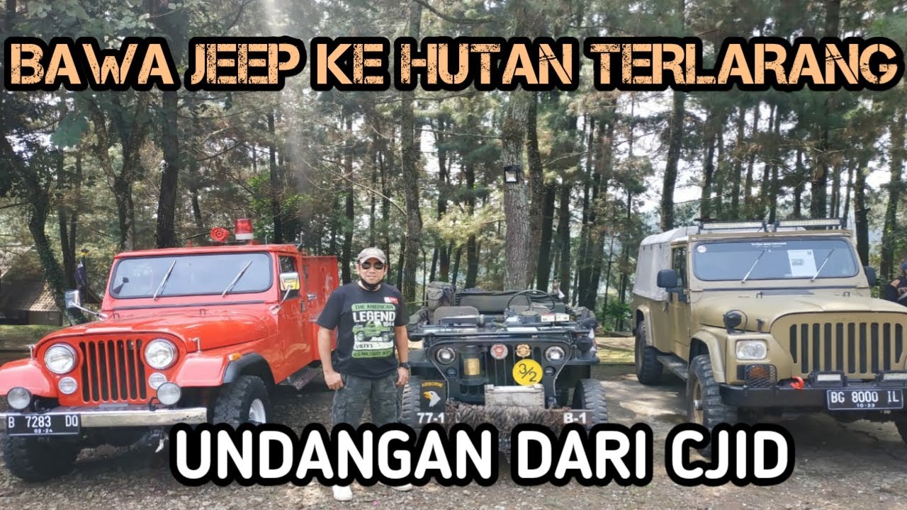 BAWA WILLYS KE HUTAN TERLARANG?!.. DI UNDANG CJID