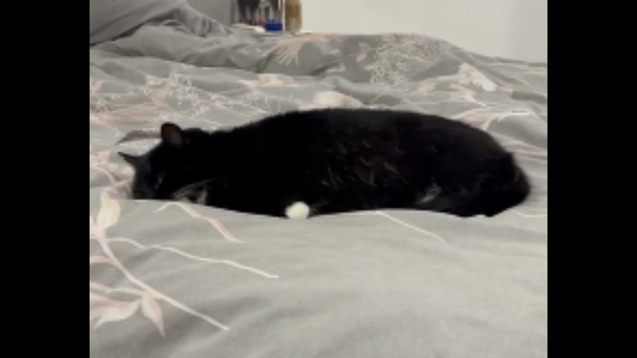 Santi Is Very Flat Background Music
