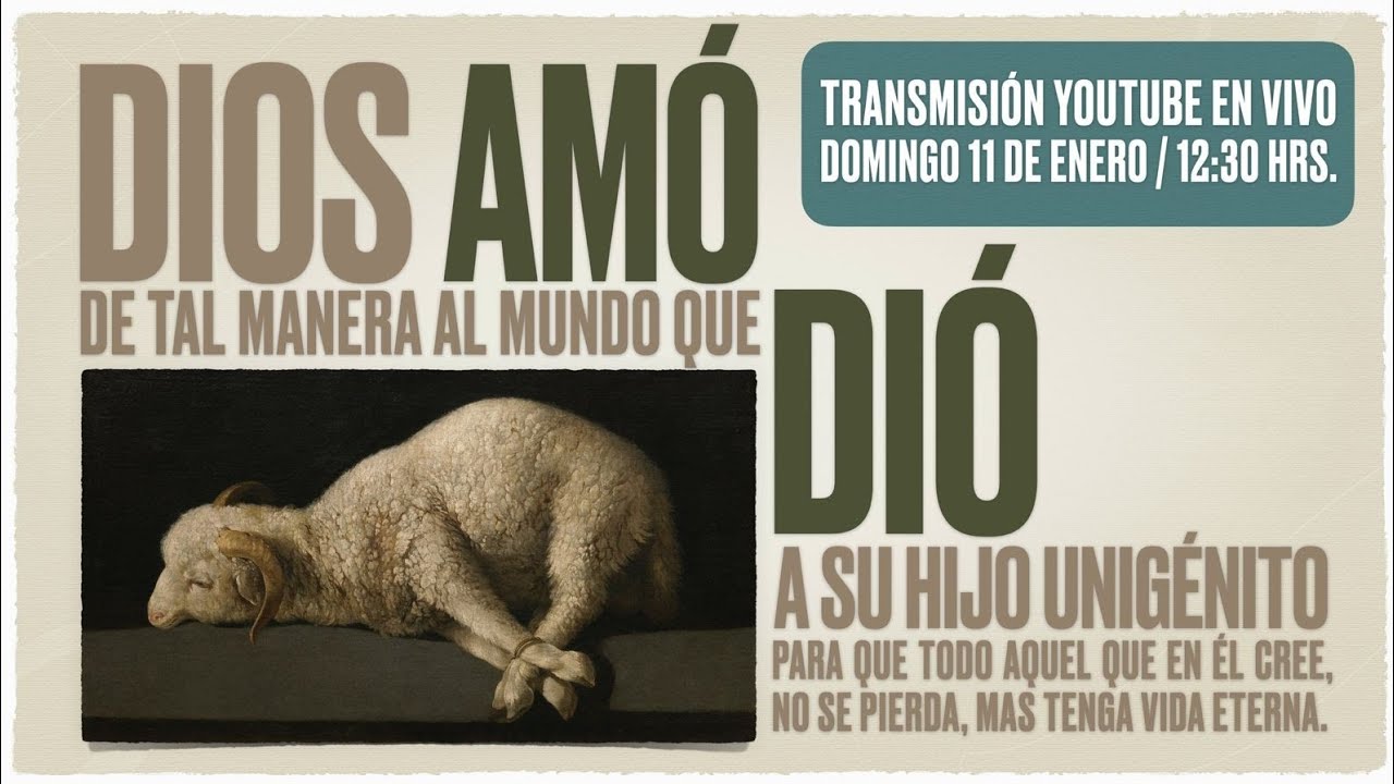 Amar Como Dios Ama | Ver, Escuchar y Actuar con Compasión Cristiana