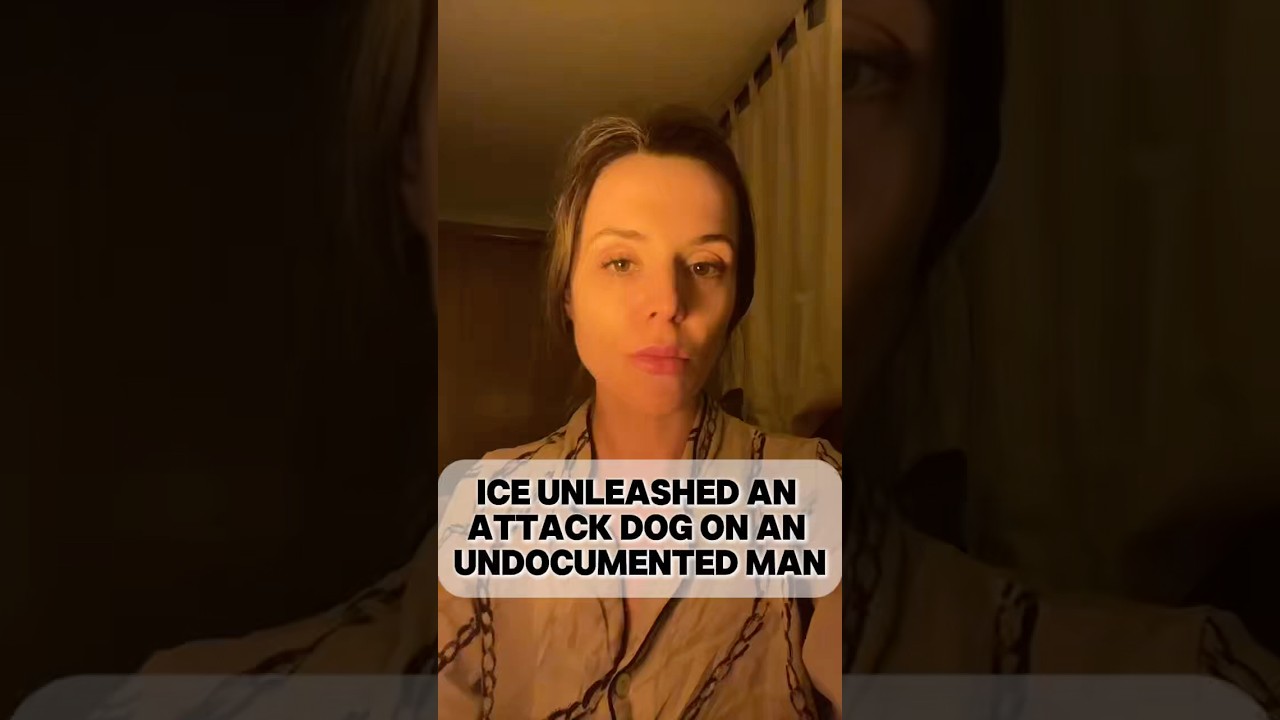 ICE натравила собаку на человека без документов #ICE #Иммиграция #ПраваЧеловека