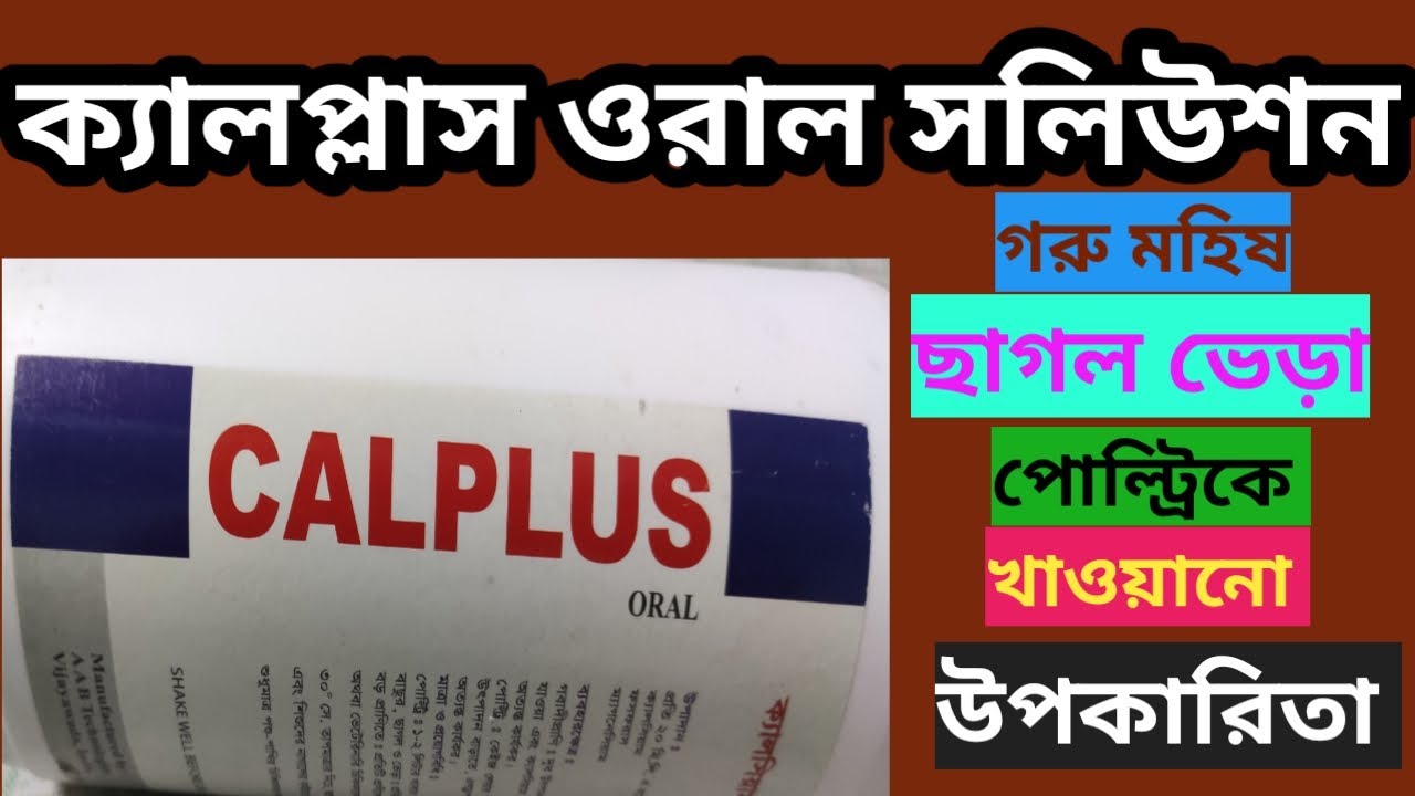 Calplus oral solution for cows goat sheep & poultry গরু ছাগল ভেড়া ও পোল্ট্রিকে কেন খাওয়াতে হয় 🐄🐏🐐🐂