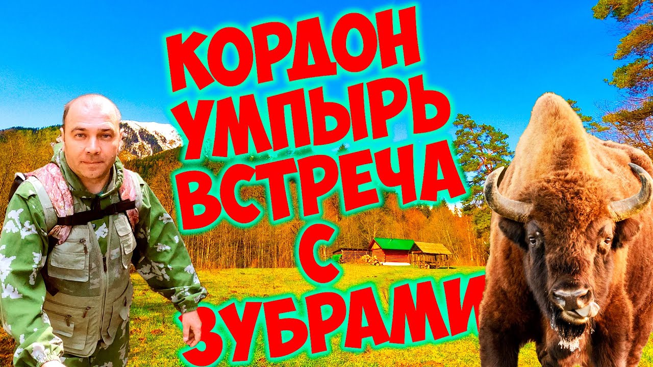 Кордон Умпырь встретили зубров | Олени на поляне | Обход территории заповедника