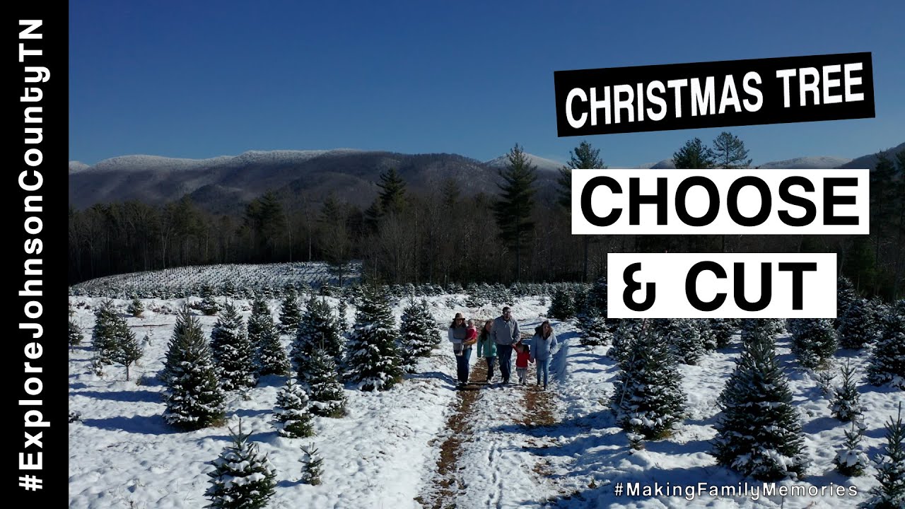 Explore Johnson County TN - Choose & Cut Christmas Trees