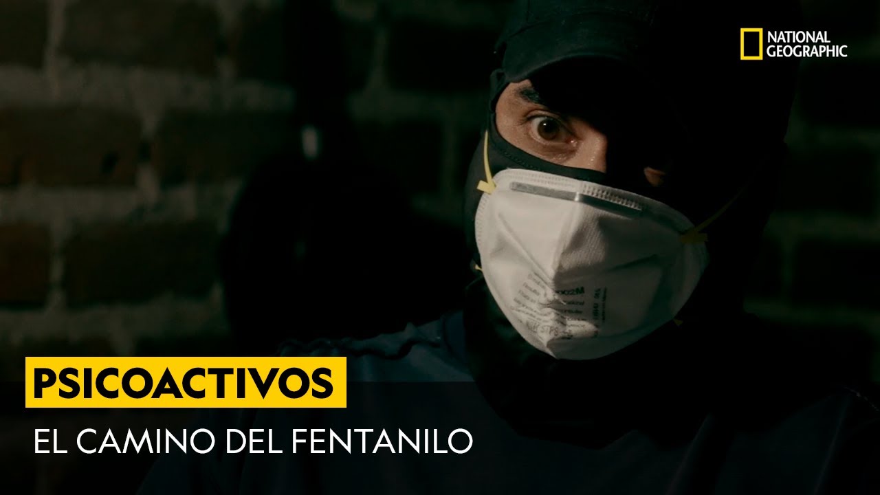 Contrabandistas con Mariana Van Zeller: Nuevas sustancias estupefacientes | National Geographic