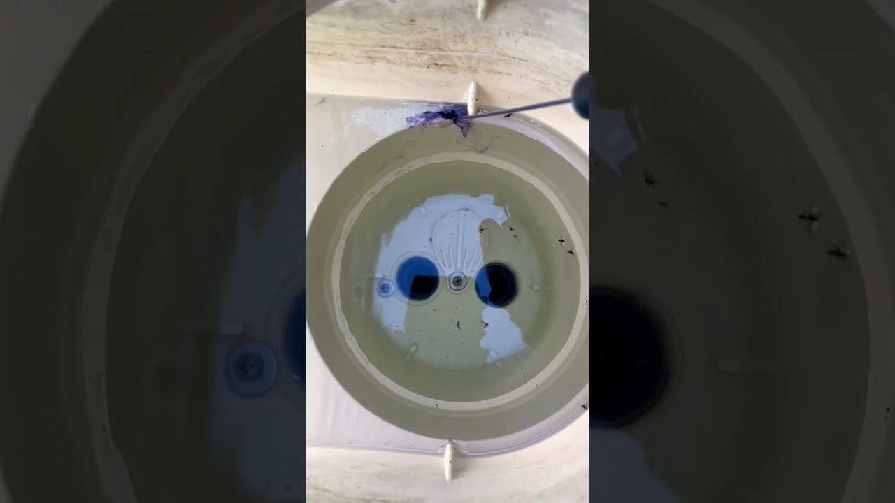 Small crack in the pool skimmer identified and fixed by 