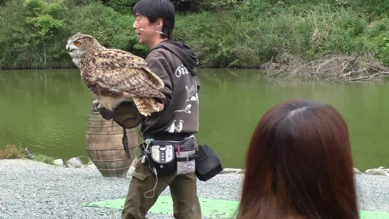 掛川花鳥園　バードショー