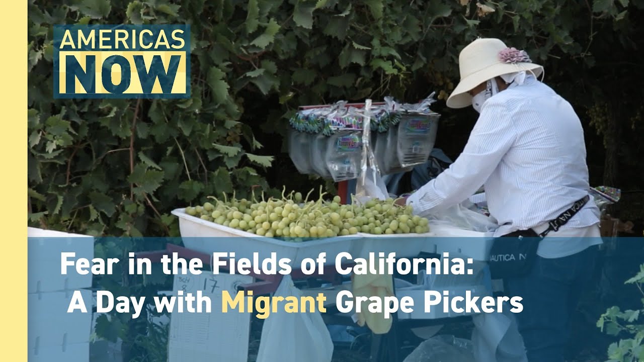 Undocumented Farmworkers in California: Living and Working in Fear