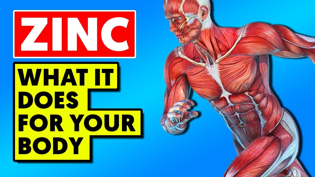 This Is What Zinc Does To Your Body and What to Eat for More