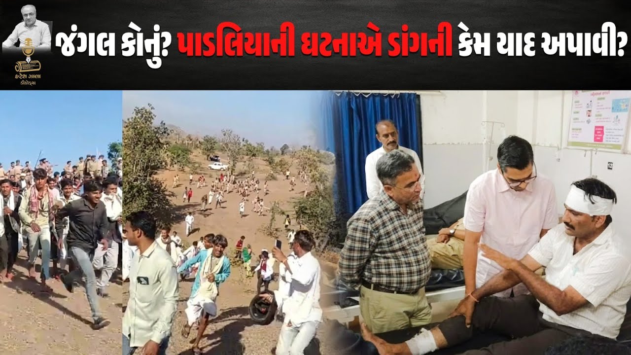 જંગલ કોનું? પાડલિયાની ઘટનાએ ડાંગની કેમ યાદ અપાવી? | Benefit News 24