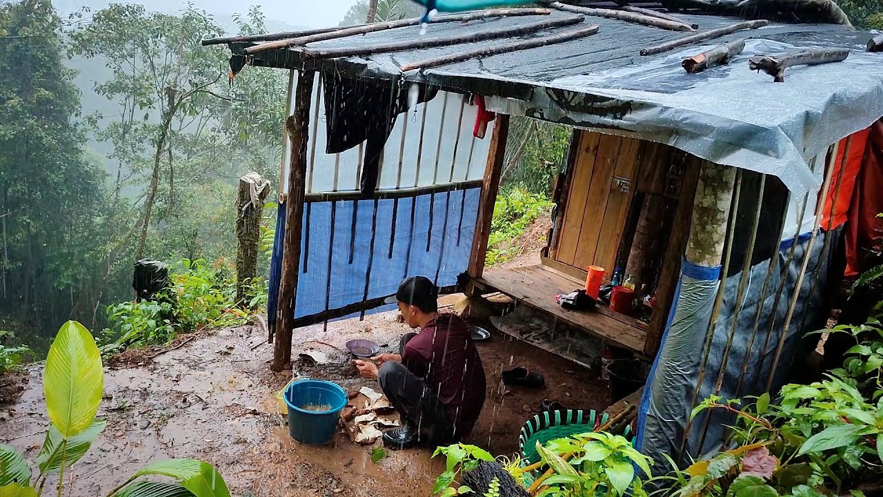 Bertahan Hidup Di Hutan Tinggal Di Pondok Kecil - Diguyur Hujan Deras Dan Petir 🌧️ Panen Kopi 
