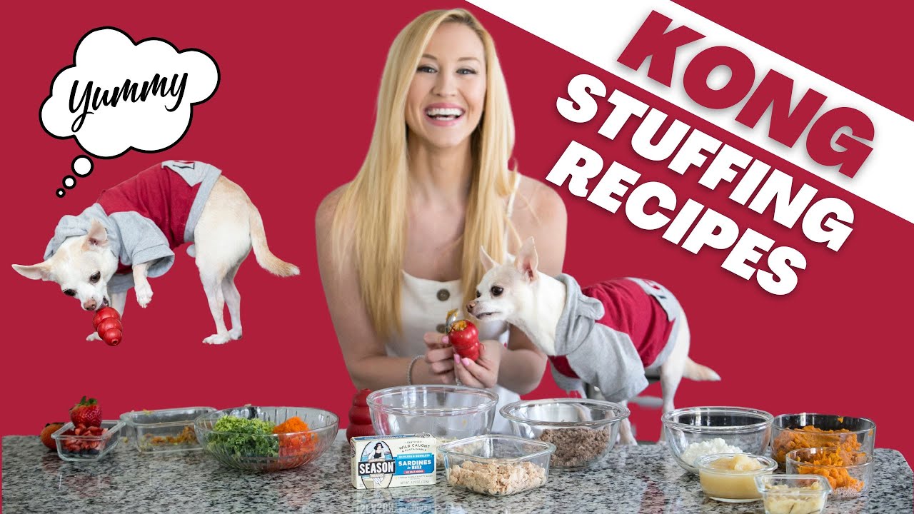 Игрушка для собак KONG: создай свою набивку за 3 простых шага — Proud Dog Mom
