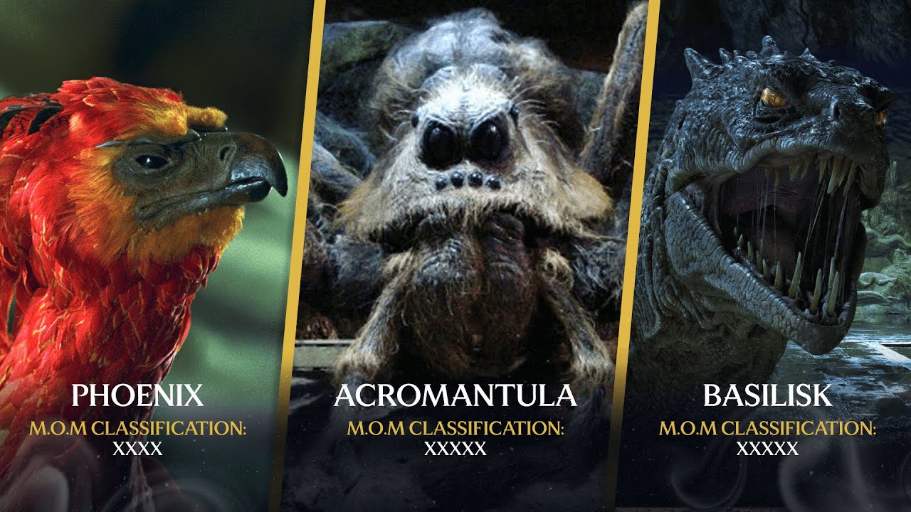 Magical Creatures Ranked By How Dangerous They Are | Harry Potter