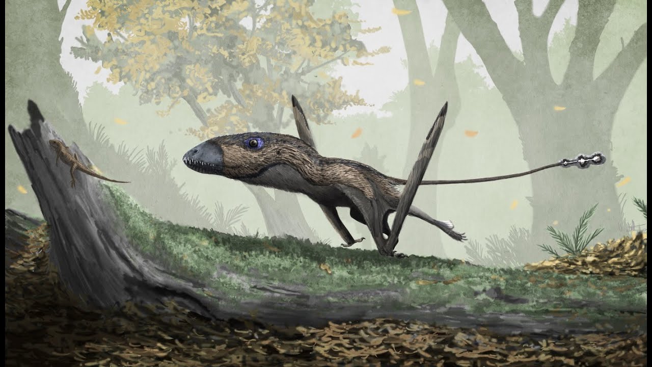The First Fliers: Exploring the Early Evolution of Pterosaurs