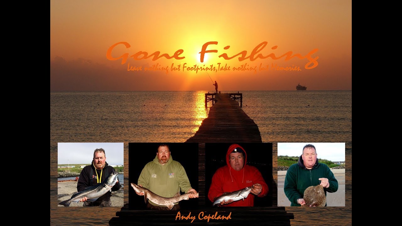 In search of River Tyne Codling