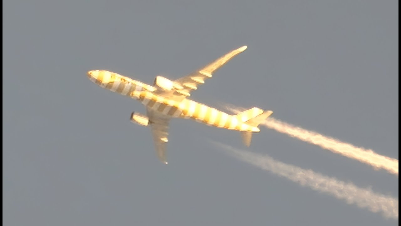 Turkish A330 | A321 | Condor A330neo | High Altitude Spotting with Sunset Lighting | 4K
