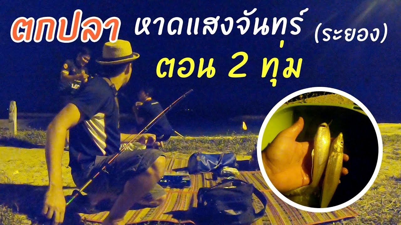 ตกปลาระยอง หาดแสงจันทร์ ตอนดึก ๆ  พอได้ตัวอยู่นะครับ ปลาเห็ดโคนไซส์โต ๆ