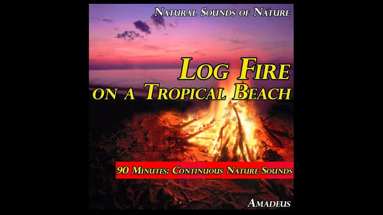 Log Fire On a Tropical Beach