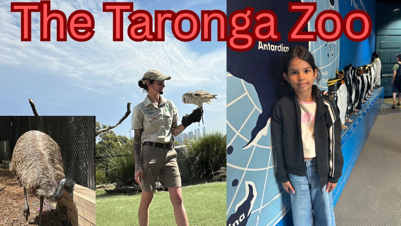 Taronga Zoo - Aliens
