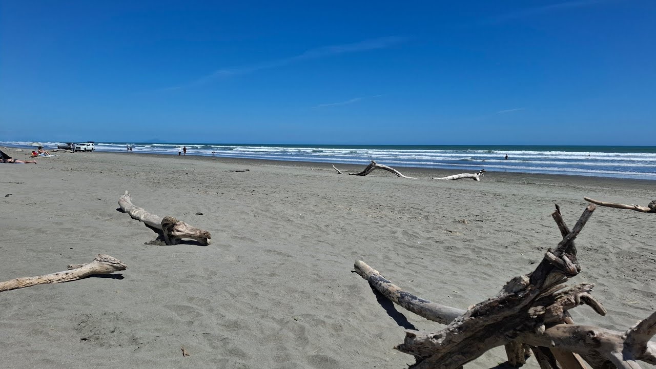 Live At The Beach! #newzealand