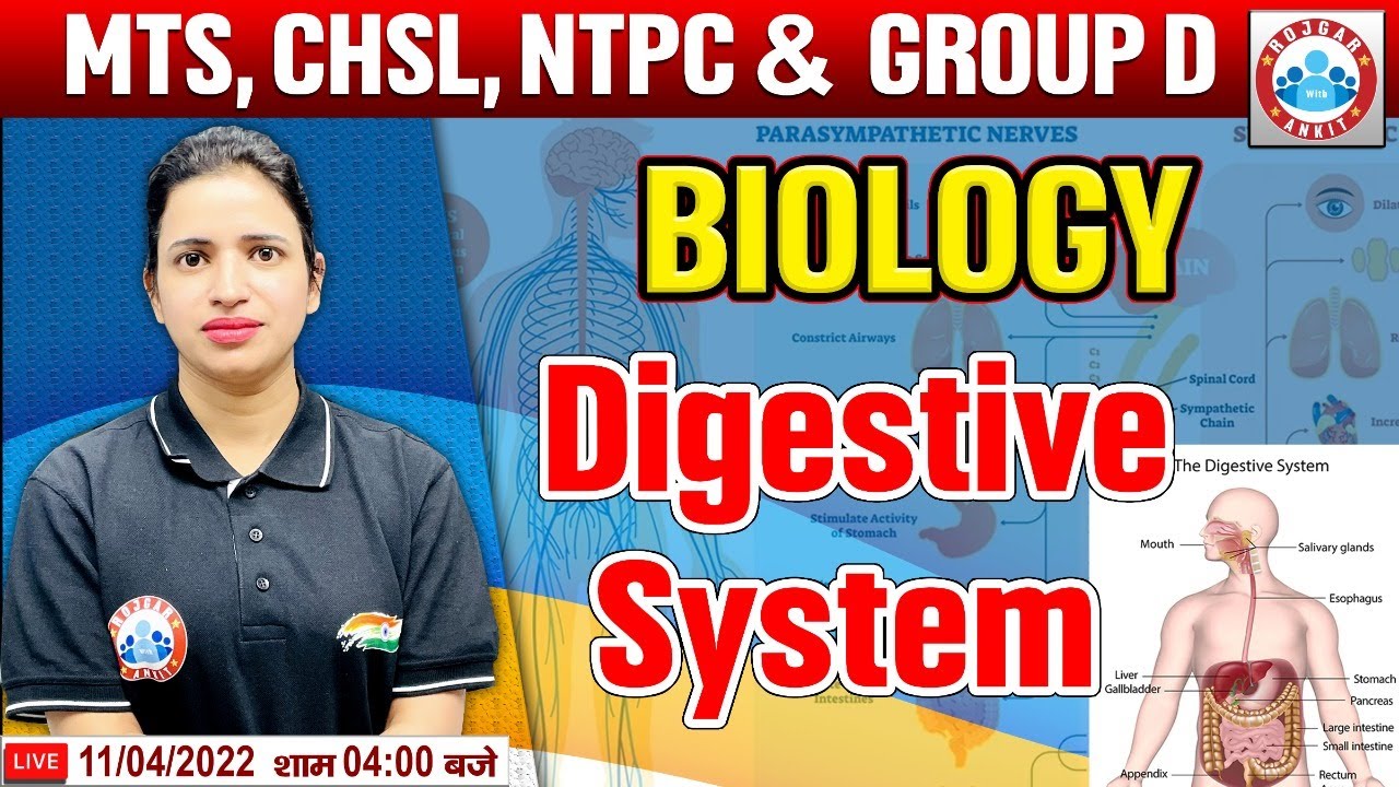 Digestive System In Biology | पाचन तंत्र | Biology For Group D/CHSL/MTS/CGL, Science By Bhawna Mam