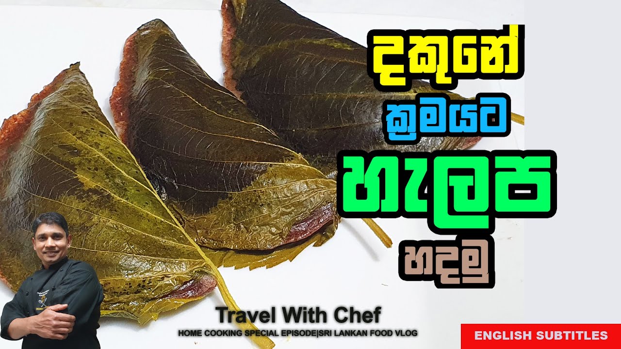 දකුණේ ක්‍රමයට හැලප හදමු. HOW TO MAKE Sri Lankan HALAPA. COOKING SHOW (Sri Lankan Chef)