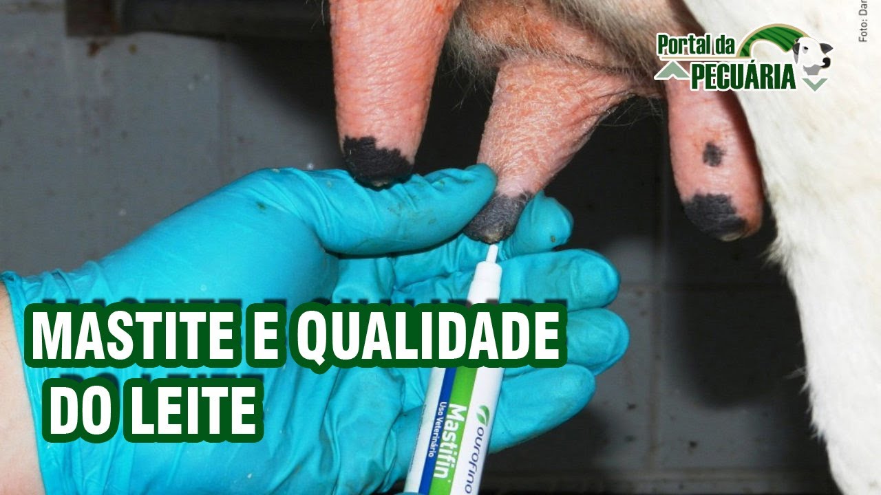 Mastite e qualidade do leite